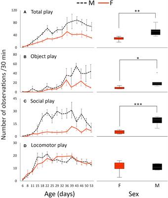 Male chicks play more than females – sex differences in chicken play ontogeny